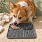 Pawkit Slow-Feeder Lick Mat